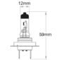 Narva H7 24V 70W Headlight Globe - Pk1 - Enhance Your Vehicle's Visibility