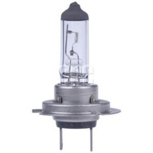 Oex Globe H7 24V 70W Heavy Duty + 50  - 1Piece