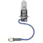 "Brighten Up Your Space with 24V 70W Narva Halogen H3 Globe Pk22S" "Brighten Up Your Space with 24V 70W Narva Halogen H3 Globe Pk22S"