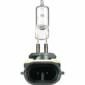 Oex 894 Globe 12V 37.5W Standard