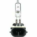 Oex 886 Globe 12V 50W Standard