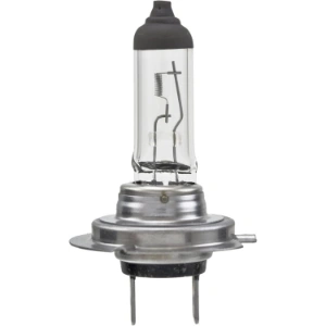 H7 Bulbs